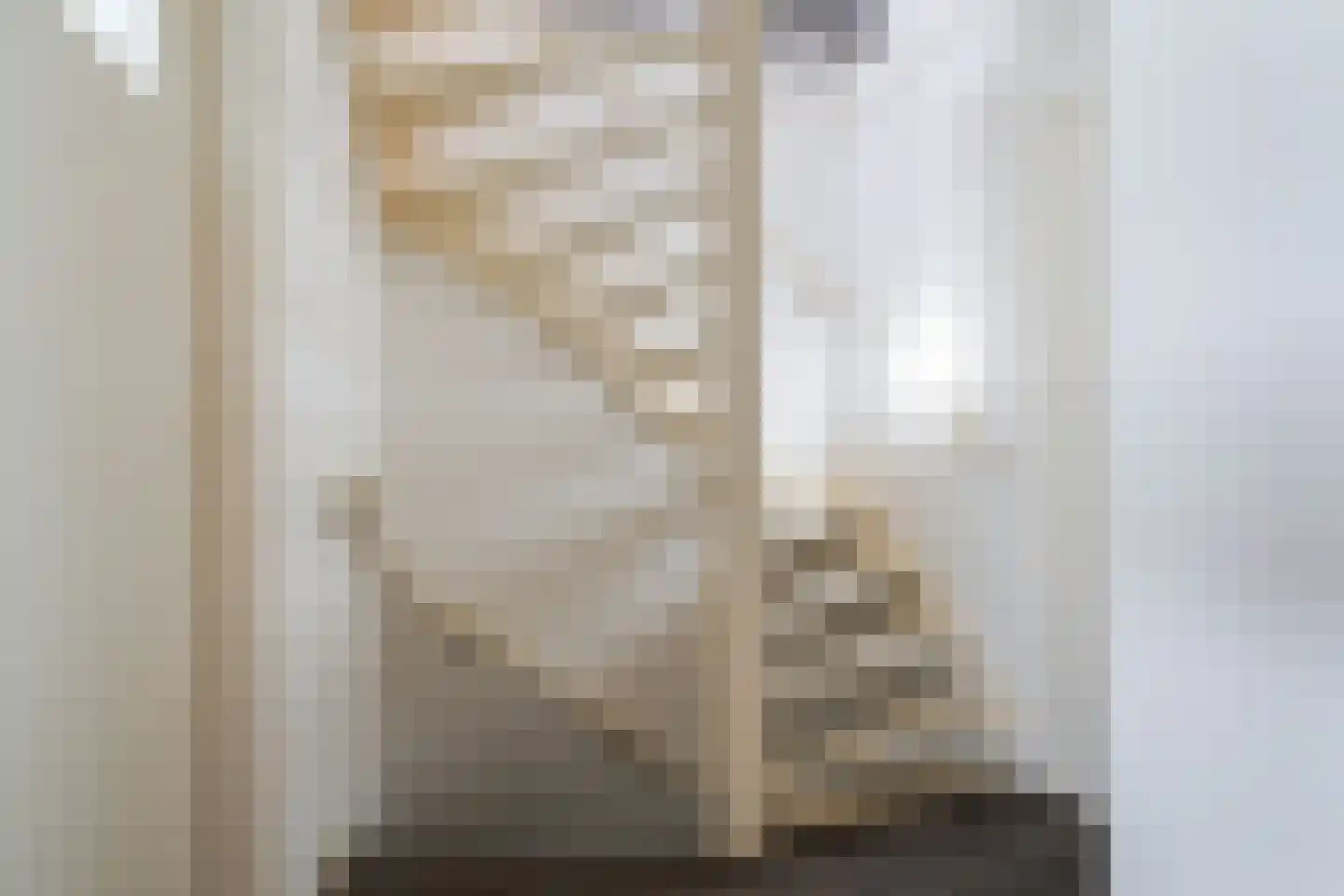 Lage Witsiebaan 252 Tilburg thumbnail 24