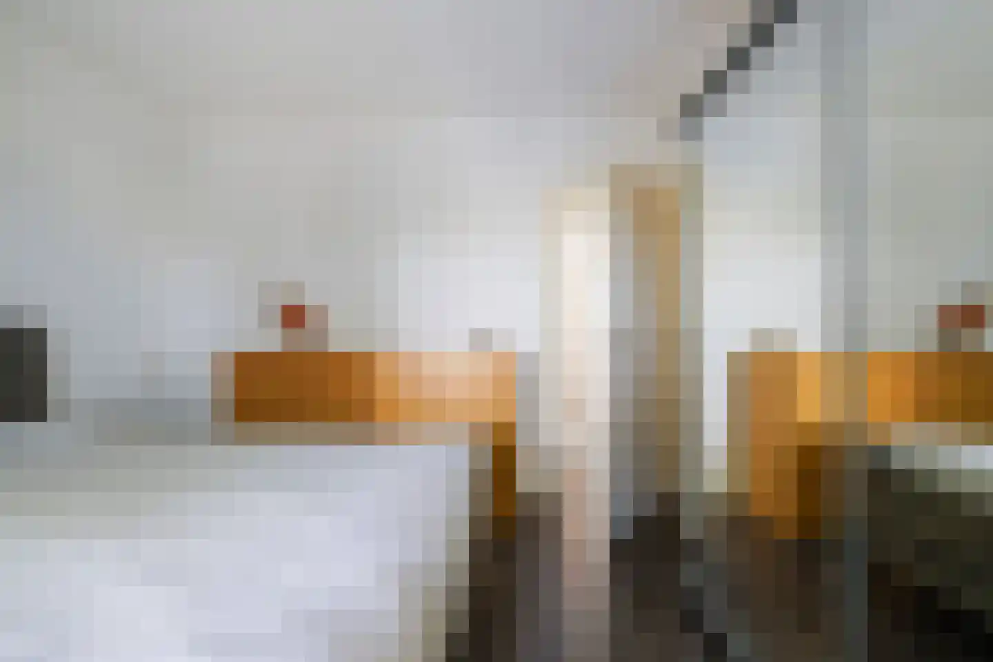 Lage Witsiebaan 252 Tilburg thumbnail 27