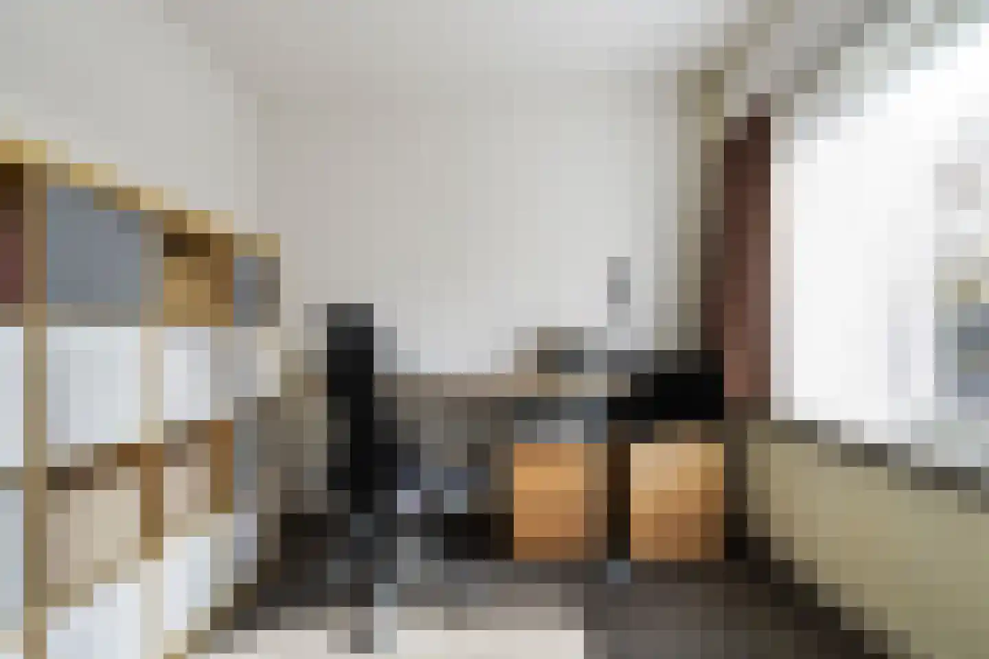 Lage Witsiebaan 252 Tilburg thumbnail 28