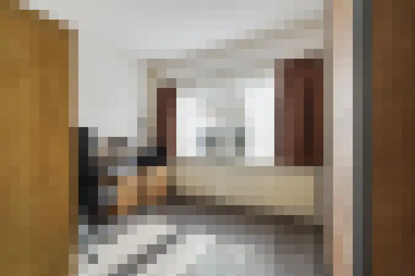 Lage Witsiebaan 252 Tilburg thumbnail 30