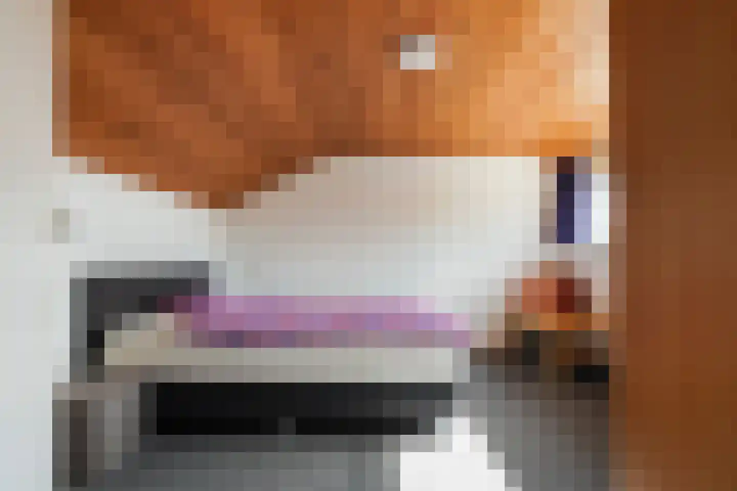Lage Witsiebaan 252 Tilburg thumbnail 38