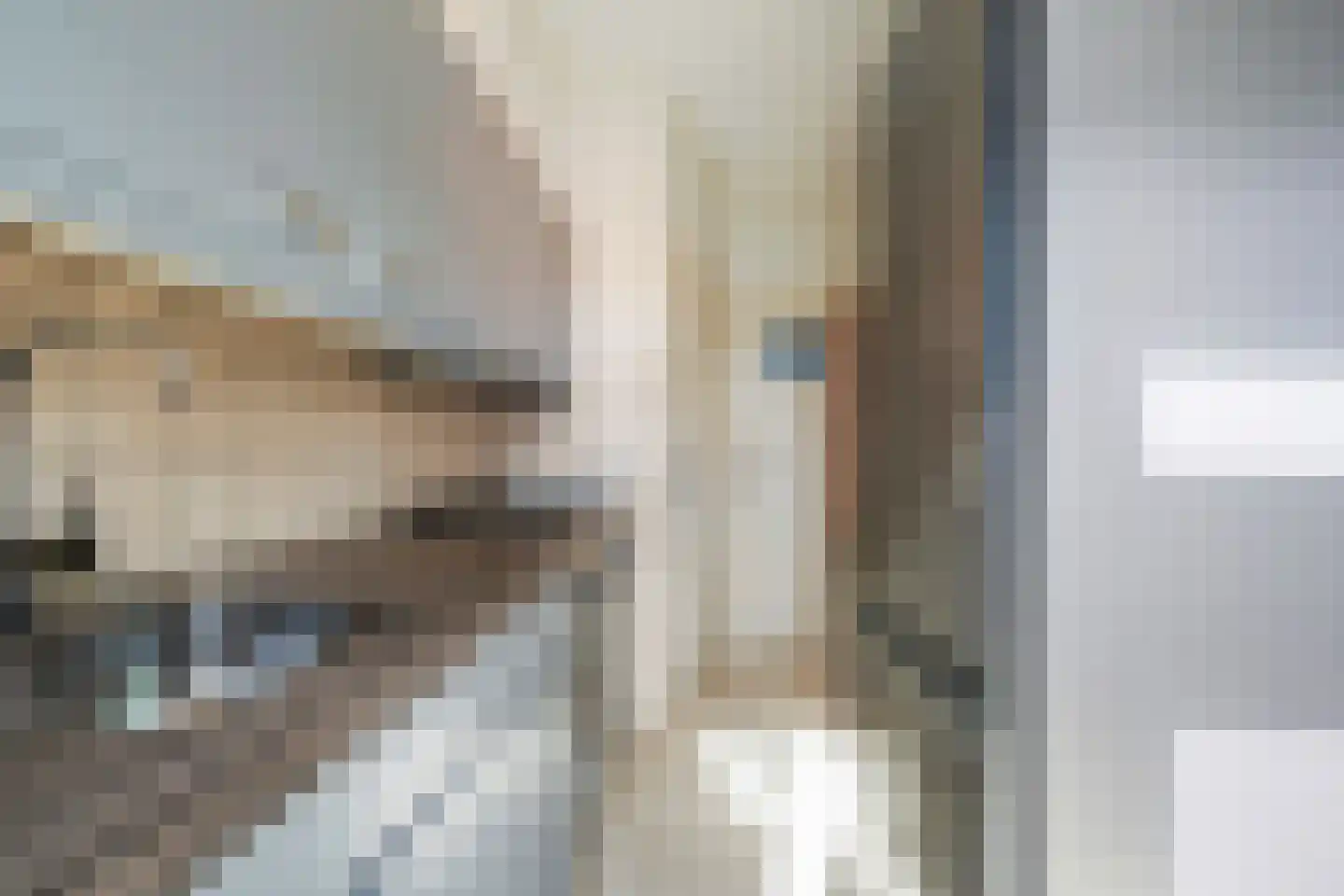 Lage Witsiebaan 252 Tilburg thumbnail 4