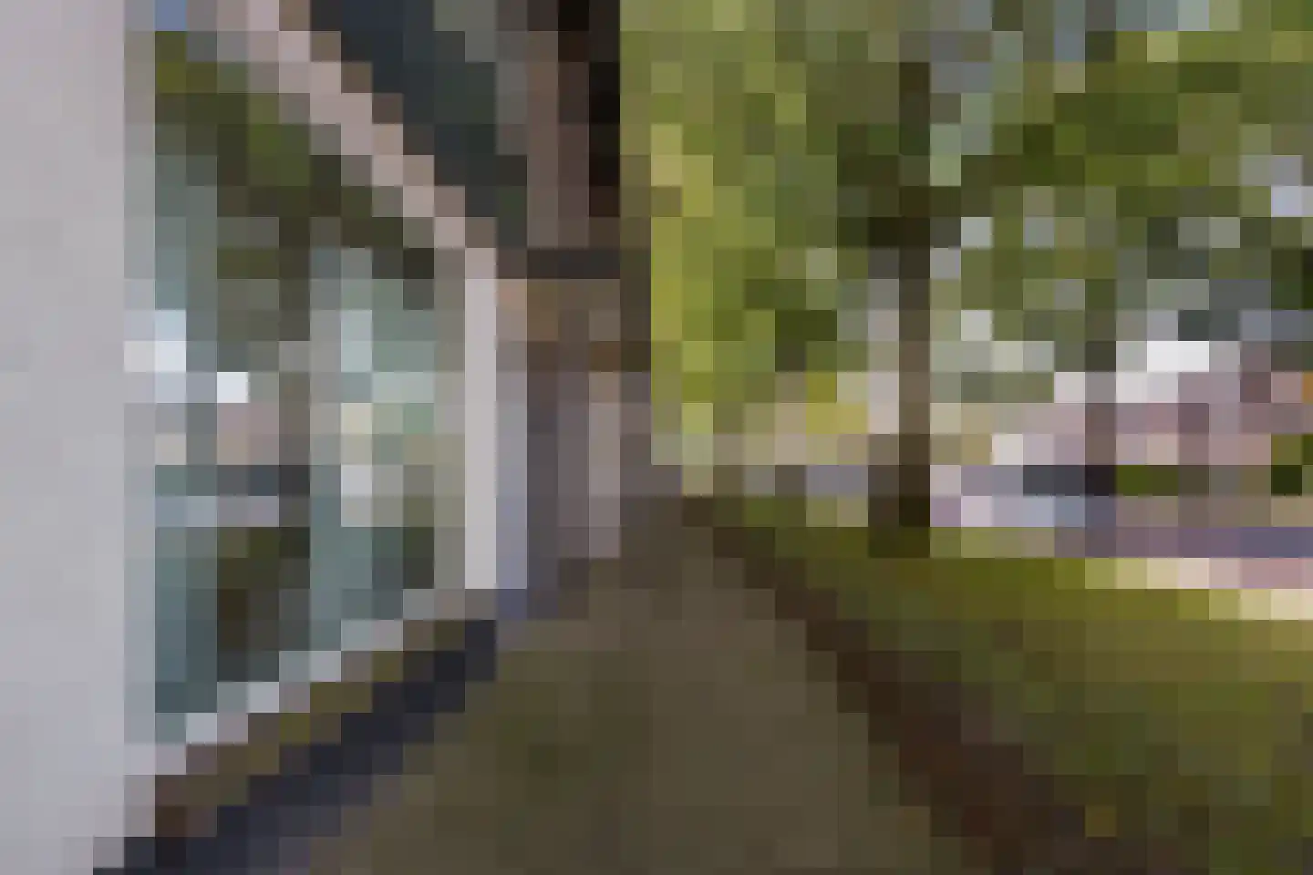 Lage Witsiebaan 252 Tilburg thumbnail 45
