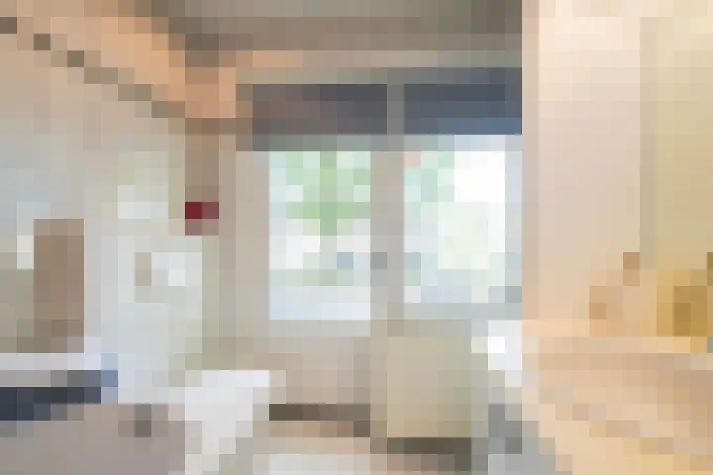 Lage Witsiebaan 252 Tilburg thumbnail 6