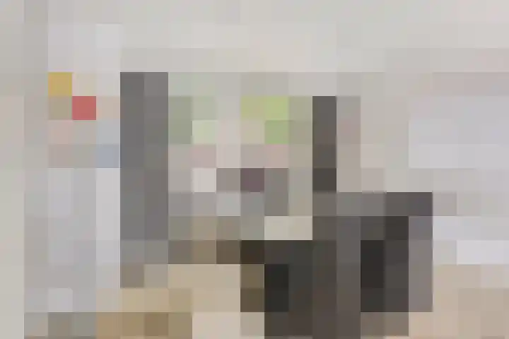 Lage Witsiebaan 67 Tilburg thumbnail 10