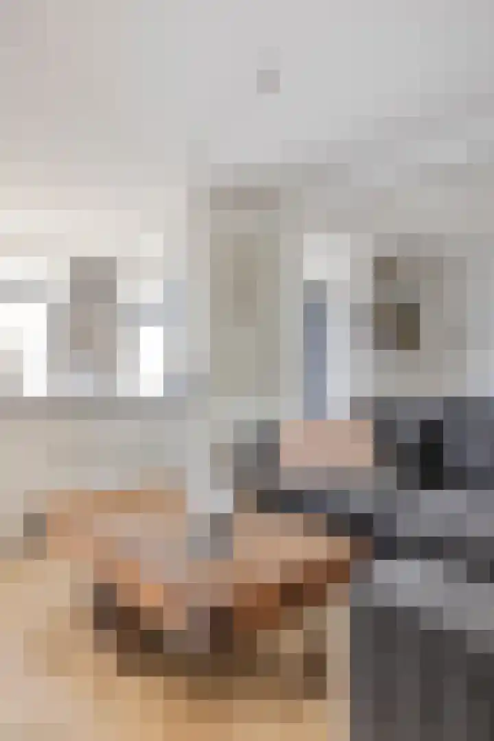 Lage Witsiebaan 67 Tilburg thumbnail 12