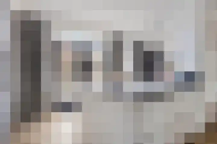 Lage Witsiebaan 67 Tilburg thumbnail 13
