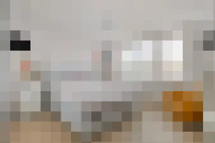 Lage Witsiebaan 67 Tilburg thumbnail 16
