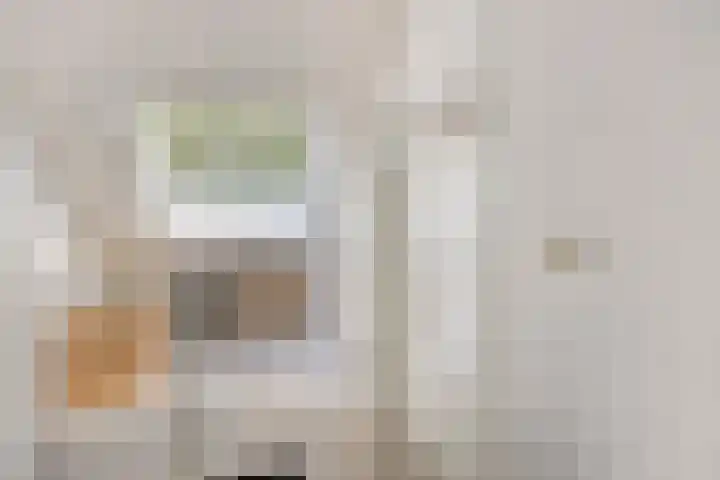 Lage Witsiebaan 67 Tilburg thumbnail 23