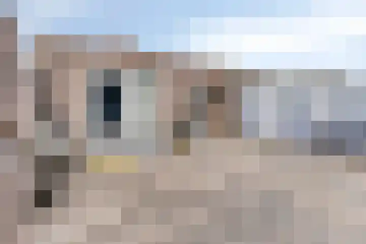 Lage Witsiebaan 67 Tilburg thumbnail 24