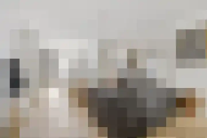 Lage Witsiebaan 67 Tilburg thumbnail 7