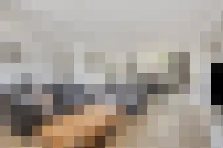 Lage Witsiebaan 67 Tilburg thumbnail 8