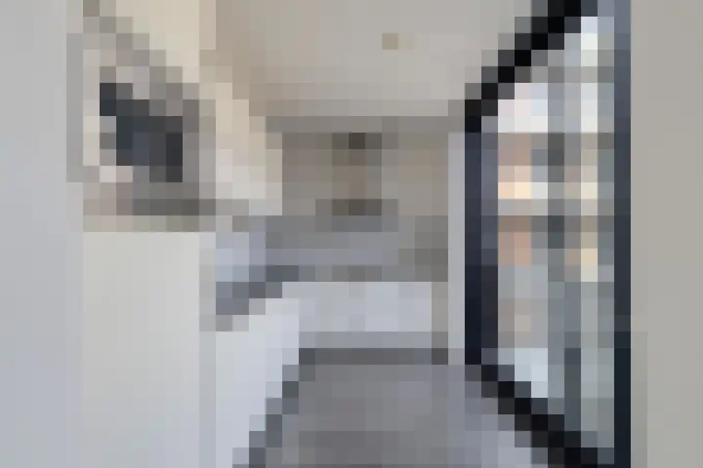 Lage Witsiebaan 78 18 Tilburg thumbnail 21