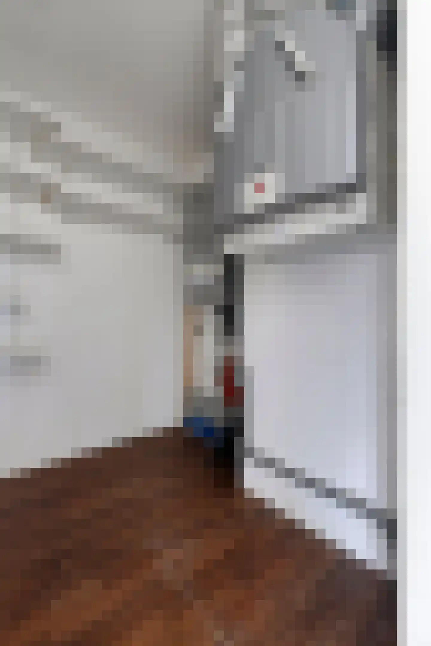 Lage Witsiebaan 78 18 Tilburg thumbnail 33