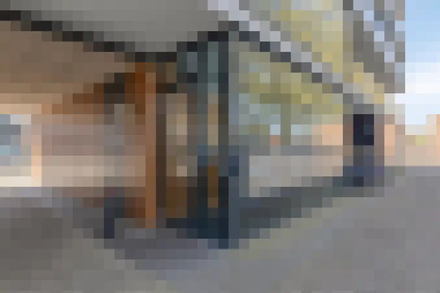 Lage Witsiebaan 78 18 Tilburg thumbnail 8