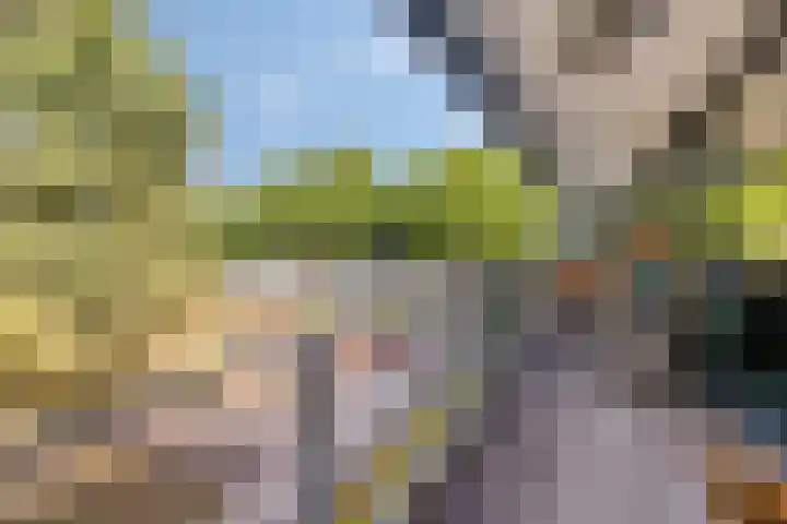 Lage Witsiebaan 78 35 Tilburg thumbnail 10