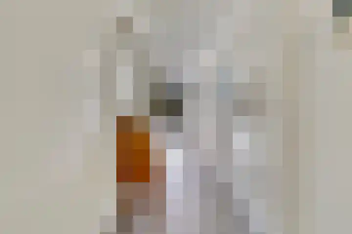Lage Witsiebaan 78 35 Tilburg thumbnail 15