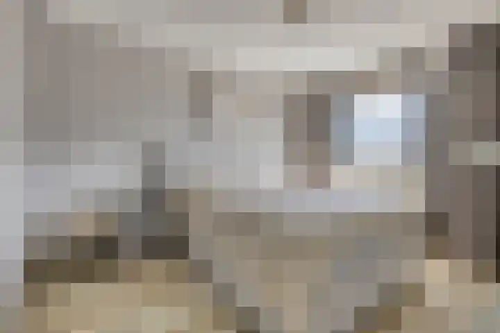 Lage Witsiebaan 78 35 Tilburg thumbnail 17