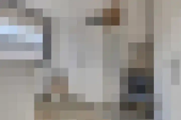 Lage Witsiebaan 78 35 Tilburg thumbnail 19