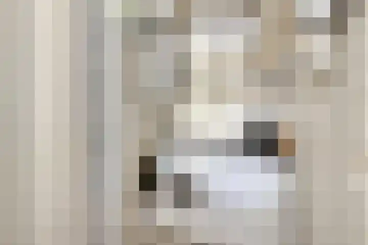 Lage Witsiebaan 78 35 Tilburg thumbnail 22