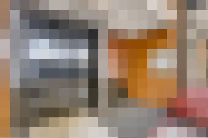 Lage Witsiebaan 78 35 Tilburg thumbnail 25