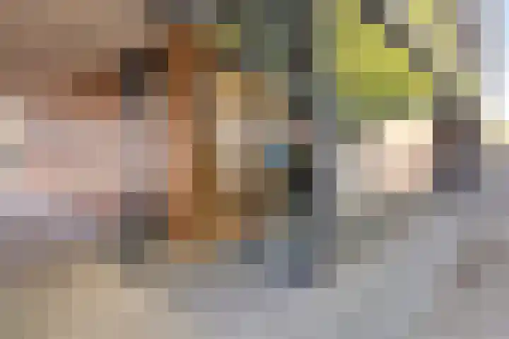 Lage Witsiebaan 78 35 Tilburg thumbnail 26