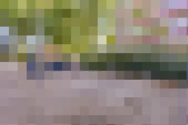 Lage Witsiebaan 78 35 Tilburg thumbnail 27