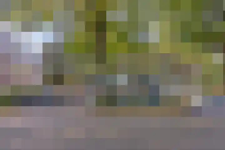 Lage Witsiebaan 78 35 Tilburg thumbnail 29