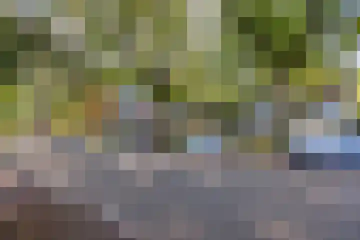 Lage Witsiebaan 78 35 Tilburg thumbnail 30