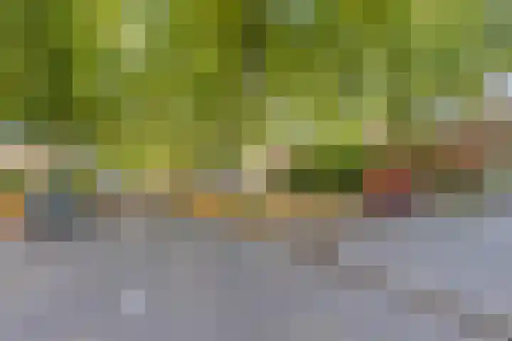 Lage Witsiebaan 78 35 Tilburg thumbnail 31