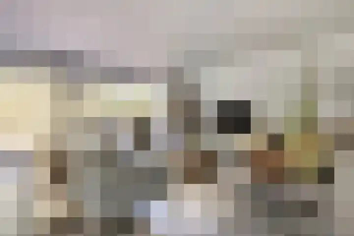 Lage Witsiebaan 78 35 Tilburg thumbnail 4