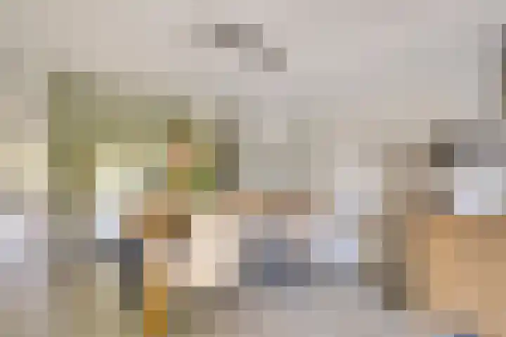 Lage Witsiebaan 78 35 Tilburg thumbnail 6