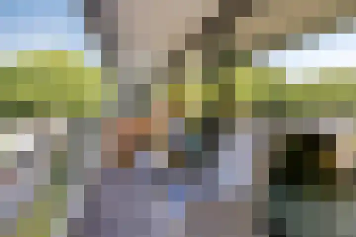 Lage Witsiebaan 78 35 Tilburg thumbnail 9