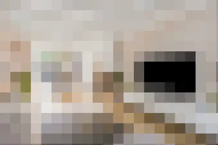 Lage Witsiebaan 90 Tilburg thumbnail 10