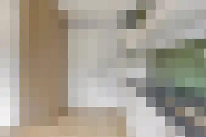 Lage Witsiebaan 90 Tilburg thumbnail 13