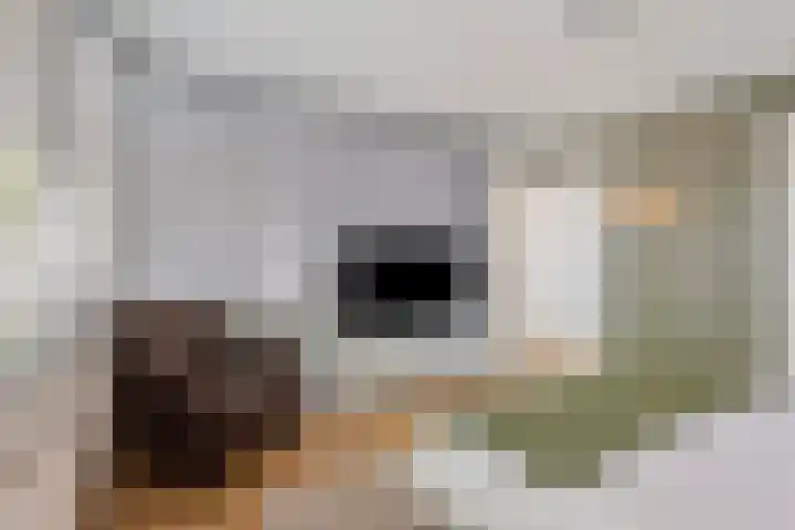 Lage Witsiebaan 90 Tilburg thumbnail 16