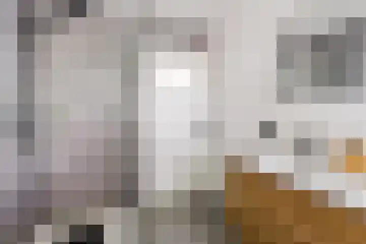 Lage Witsiebaan 90 Tilburg thumbnail 17