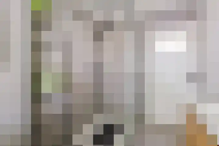 Lage Witsiebaan 90 Tilburg thumbnail 18