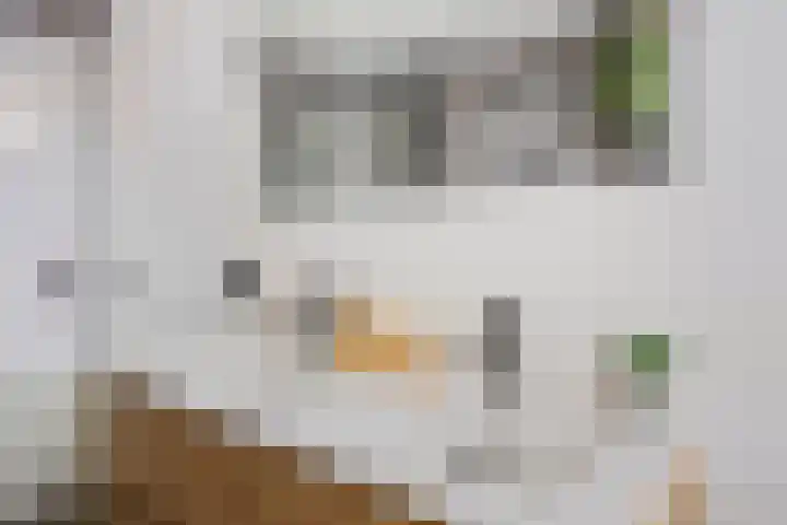Lage Witsiebaan 90 Tilburg thumbnail 19