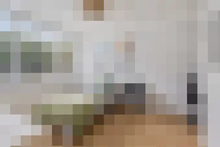 Lage Witsiebaan 90 Tilburg thumbnail 20