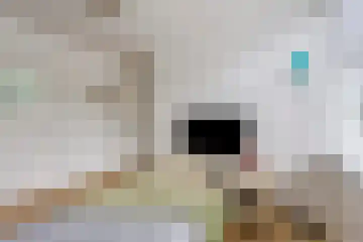 Lage Witsiebaan 90 Tilburg thumbnail 22