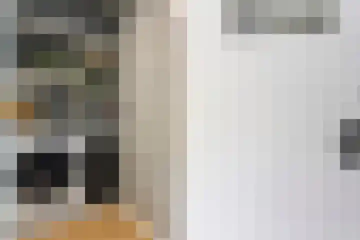 Lage Witsiebaan 90 Tilburg thumbnail 23