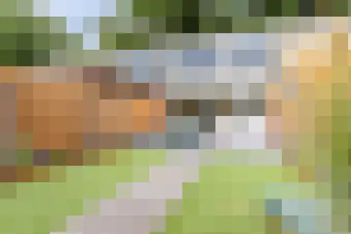 Lage Witsiebaan 90 Tilburg thumbnail 24