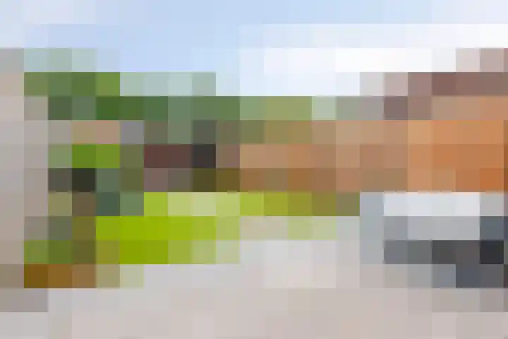 Lage Witsiebaan 90 Tilburg thumbnail 25