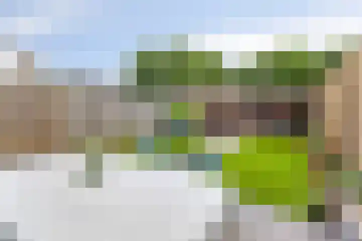 Lage Witsiebaan 90 Tilburg thumbnail 29