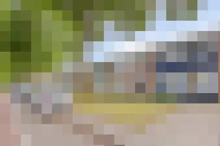 Lage Witsiebaan 90 Tilburg thumbnail 32
