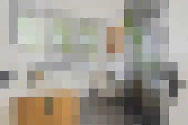 Lage Witsiebaan 90 Tilburg thumbnail 4