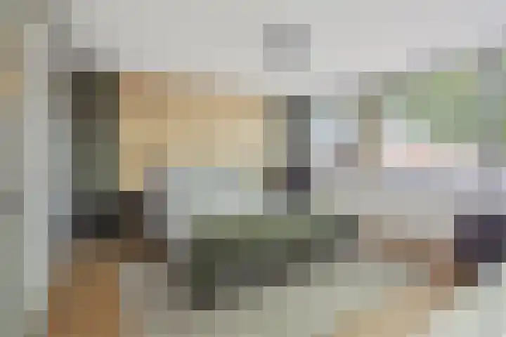 Lage Witsiebaan 90 Tilburg thumbnail 5