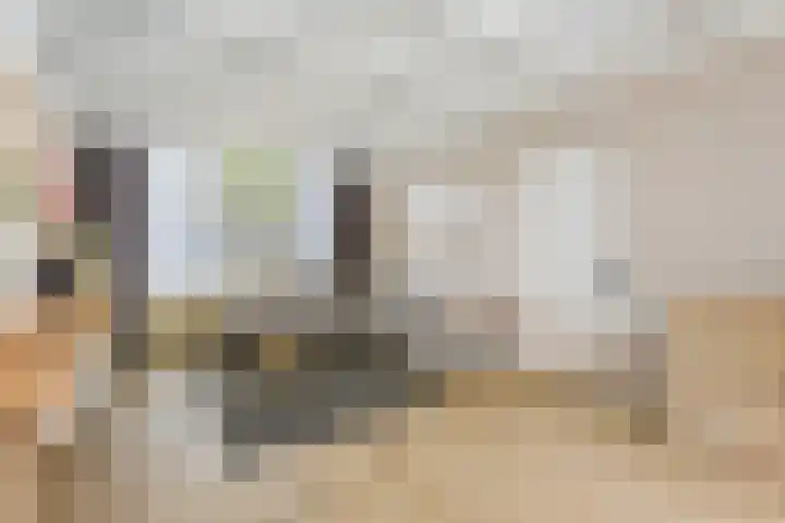 Lage Witsiebaan 90 Tilburg thumbnail 8