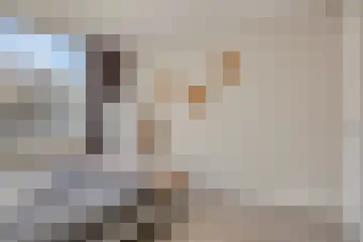 Lage Witsiebaan 94 Tilburg thumbnail 11